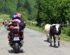 Autor: Kaso
Popis: Ben jav na hlavnom ahu